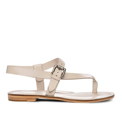 Shop Golo Roma Leather Thong Sandal In Gnocchi Leather In Multi