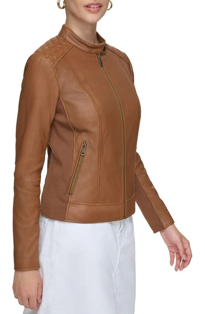 Shop Andrew Marc Leather Racer Jacket In Whiskey