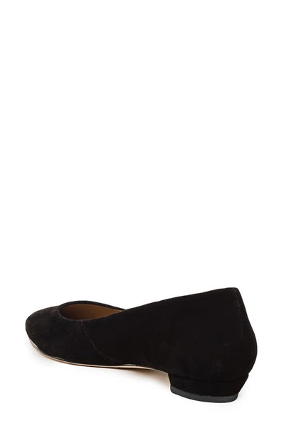 Shop Bernardo Footwear Fritz Pointed Toe Flat In Black