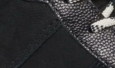 Shop Dolce Vita Daley High Top Sneaker In Black Multi Suede H2o