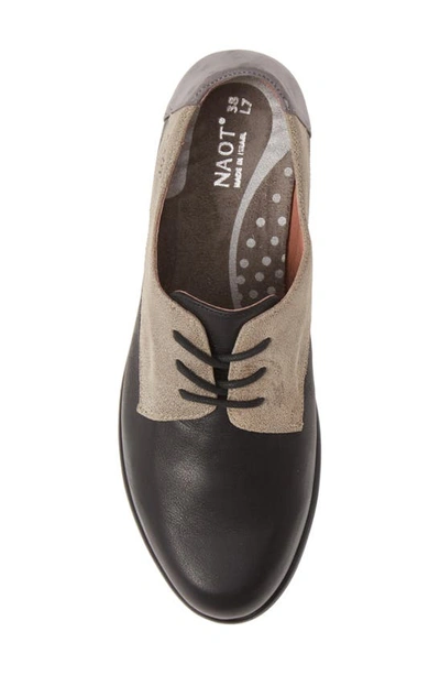 Shop Naot Kedma Colorblock Derby In Black/ Beige/ Smoke Leather