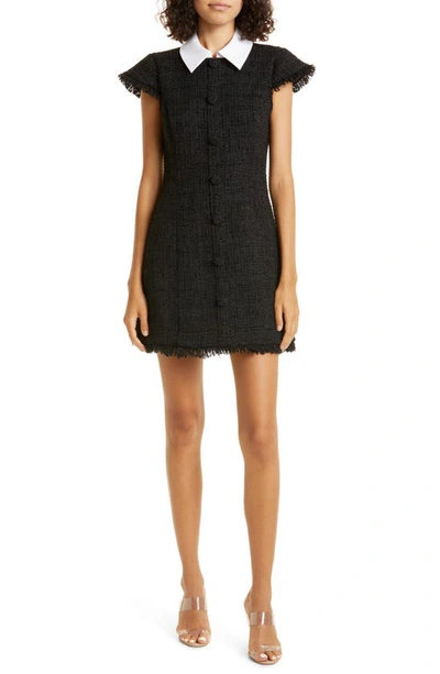 Likely Riello Tweed Dress In Black