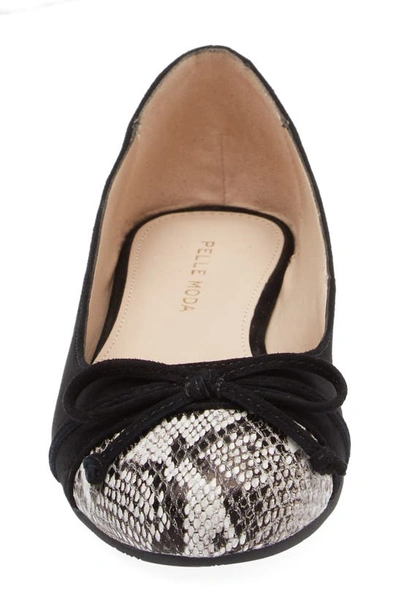 Pelle Moda Saida Ballet Flat In Black