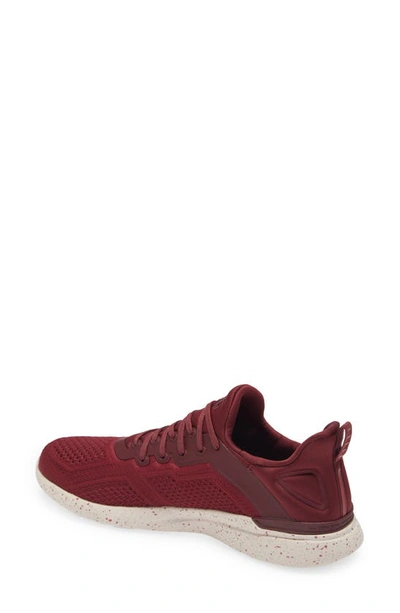 Shop Apl Athletic Propulsion Labs Techloom Tracer Knit Training Shoe In Burgundy/ Cream