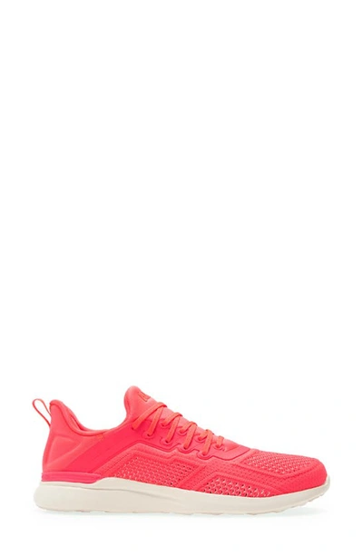 Shop Apl Athletic Propulsion Labs Techloom Tracer Knit Training Shoe In Red/ Beige