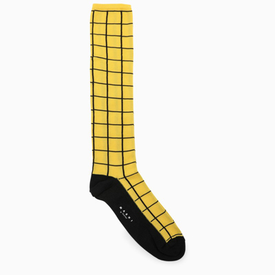 Shop Marni | Yellow/black Check Pattern Long Socks
