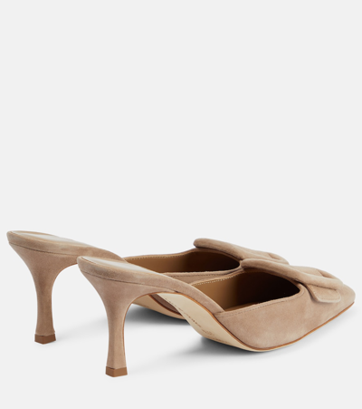 Manolo Blahnik 50mm Maysale Suede Mules In Brown