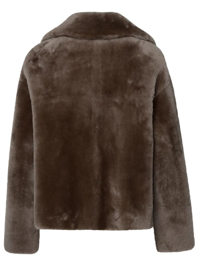 Shop Blancha ® Short Brown Leather Fur Coat