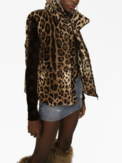 Shop Dolce & Gabbana Leopard Print Velvet Down Vest In Animalier1