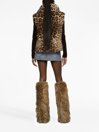 Shop Dolce & Gabbana Leopard Print Velvet Down Vest In Animalier1