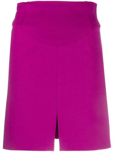 Shop Pinko `gnomeo` Mini Skirt In Pink