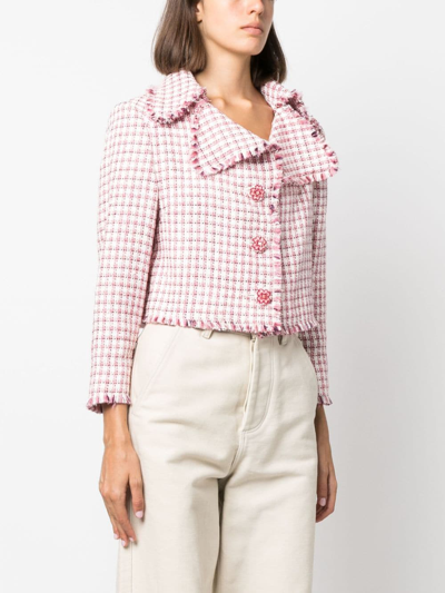 Shop Etro Check-pattern Cropped Tweed Jacket In Rosa