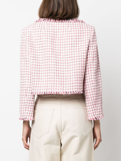 Shop Etro Check-pattern Cropped Tweed Jacket In Rosa