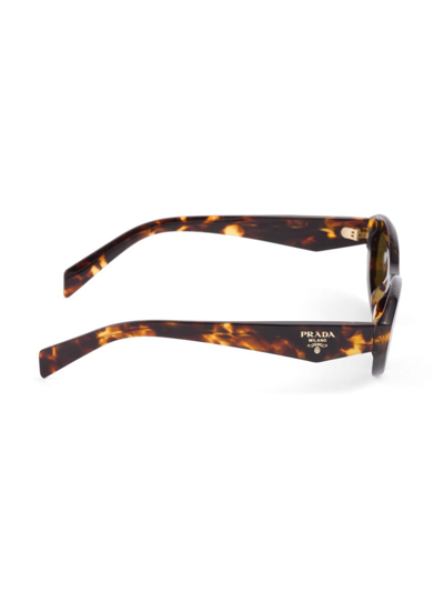 Prada Catwalk Cat-eye Acetate Sunglasses In Brown