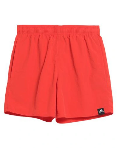Shop Adidas Originals Adidas Man Swim Trunks Tomato Red Size Xs Polyamide