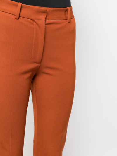 Shop Joseph Coleman Slim-fit Cropped Trousers In Orange