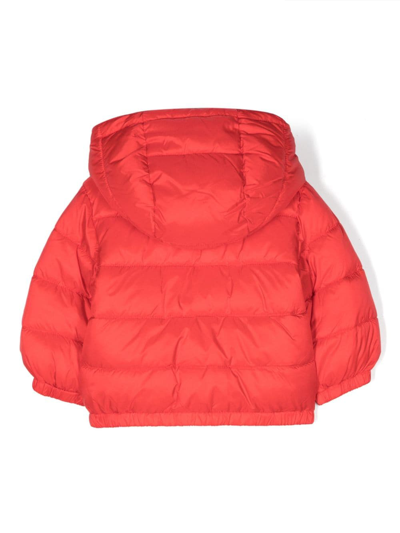 Shop Moschino Teddy Bear-print Quilted Jacket In Red