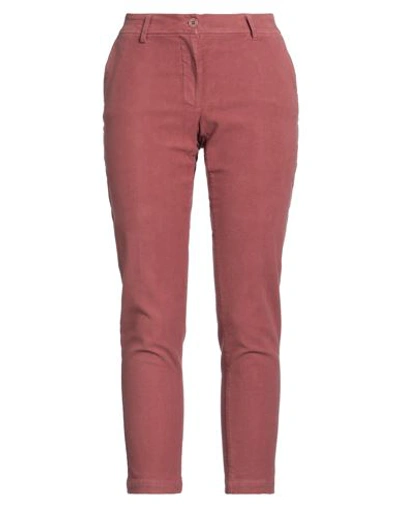 Shop Blukey Woman Pants Pastel Pink Size 6 Cotton, Elastane