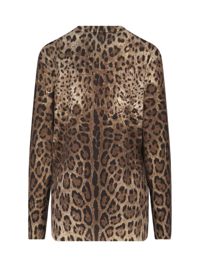 Shop Dolce & Gabbana Sweater In Brown