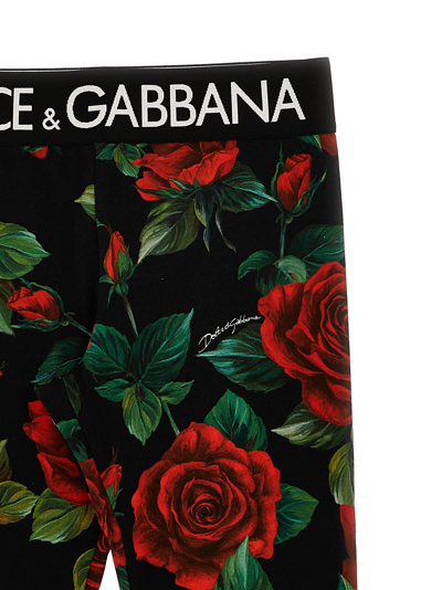 Shop Dolce & Gabbana Rose Leggings In Multicolor