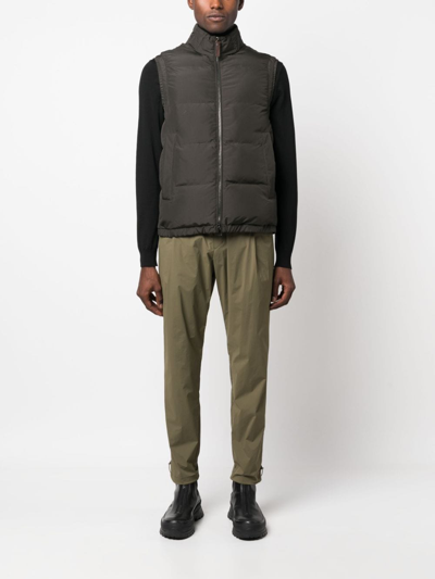 Shop Herno Drawstring-waist Tapered Trousers In Green