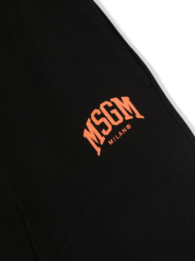 Shop Msgm Logo-print Cotton Track Pants In Black