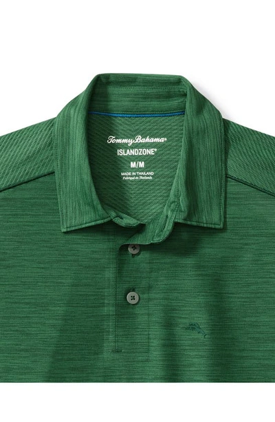 Shop Tommy Bahama Palm Coast Polo In Forest Green