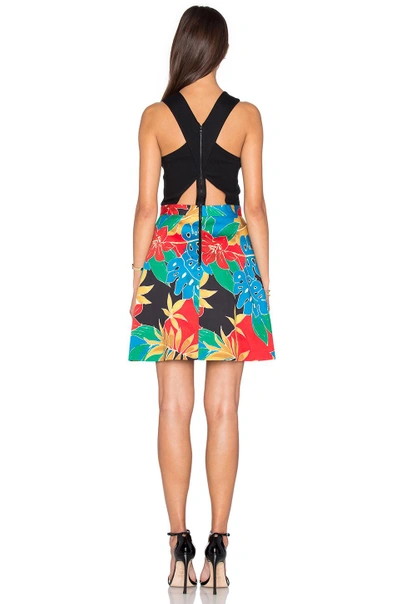 Shop Alice And Olivia Ali Dress In Jungle Hibiscus