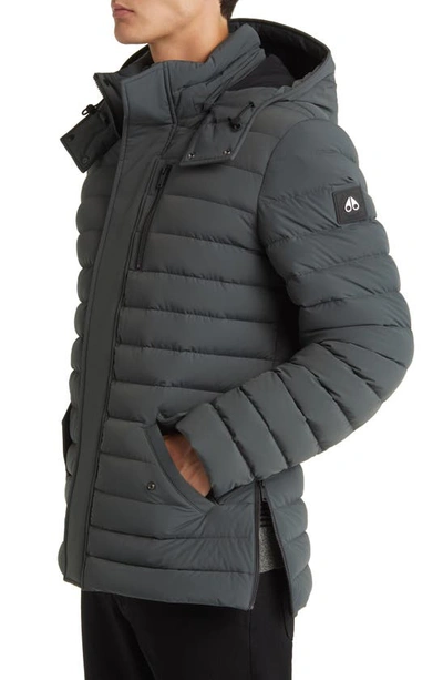 Shop Moose Knuckles Greystone Down Puffer Jacket In Forrest Hill
