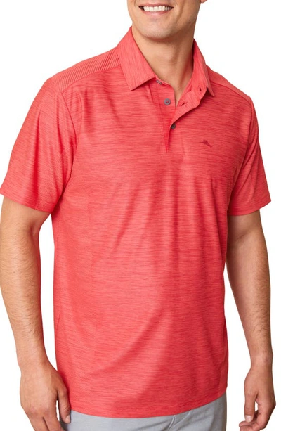 Shop Tommy Bahama Palm Coast Classic Fit Polo In Pomodoro
