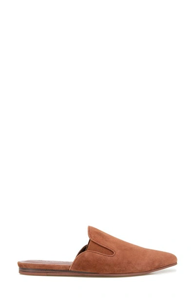 Shop Splendid Liza Pointed Toe Mule In Rust