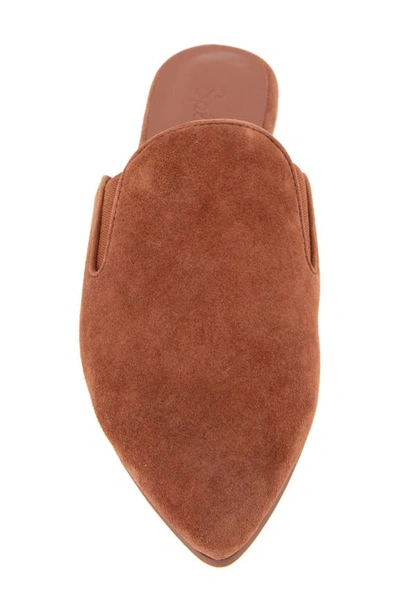 Splendid Liza Pointed Toe Mule In Rust