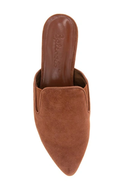 Splendid Liza Pointed Toe Mule In Rust