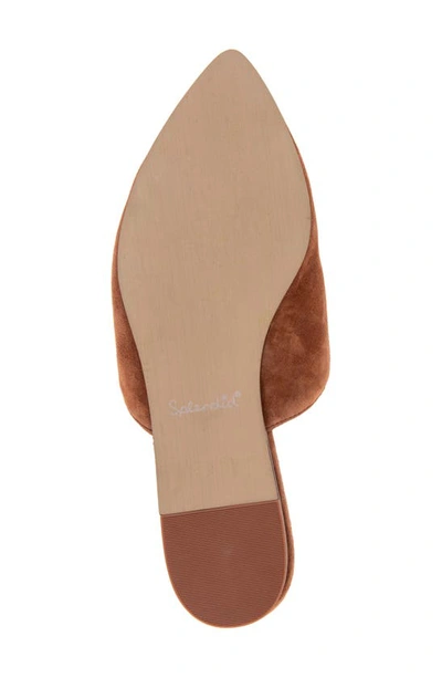 Splendid Liza Pointed Toe Mule In Rust