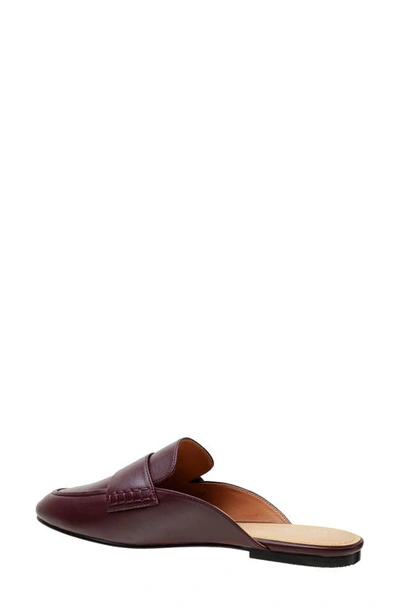 Shop Lisa Vicky Enchant Mule In Cranberry