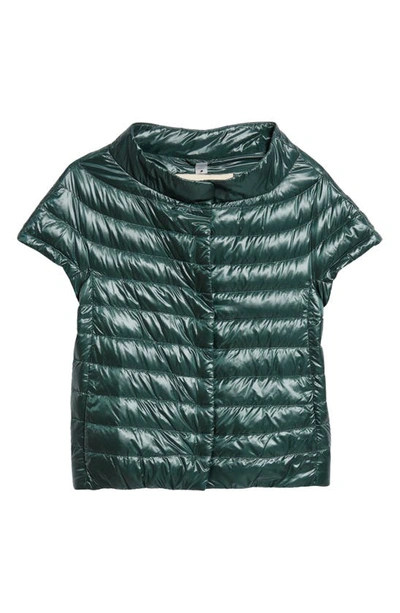 Shop Herno Emilia Cap Sleeve Quilted Down Jacket In Green