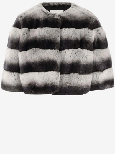 Yves salomon chinchilla sale