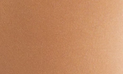 Wolford Neon 40 Pantyhose In Gobi