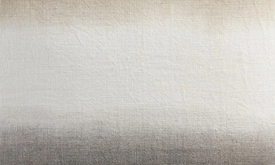 Dkny Dip Dye Linen Accent Pillow In Linen