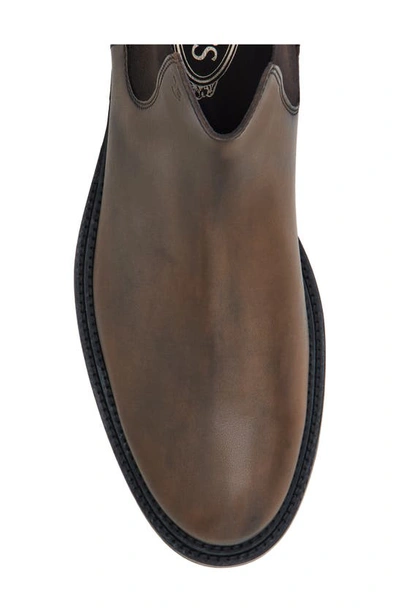 Shop Tod's Chelsea Boot In Cacao
