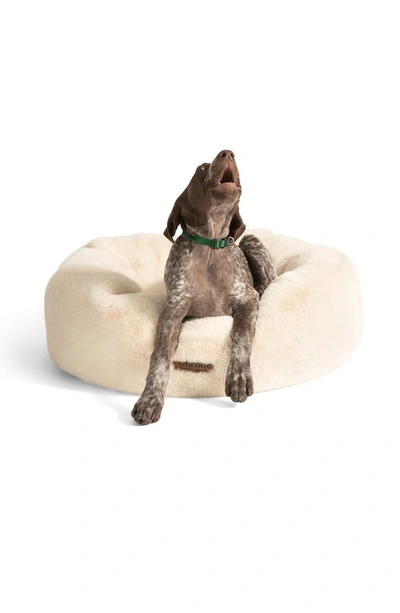 Shop Unhide Faux Fur Pet Bed In Beige Bear