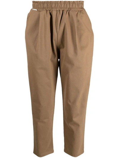 Shop Family First Chino Casual Clothing In Brown