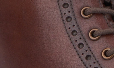 Vintage Foundry Parker Wingtip Boot In Brown