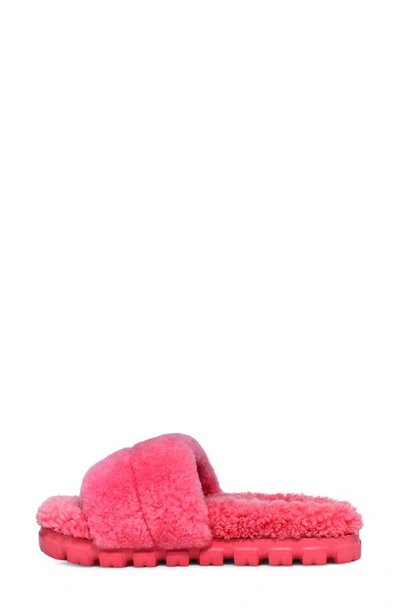 Shop Ugg Cozetta Curly Genuine Shearling Slide Slipper In Pink Glow