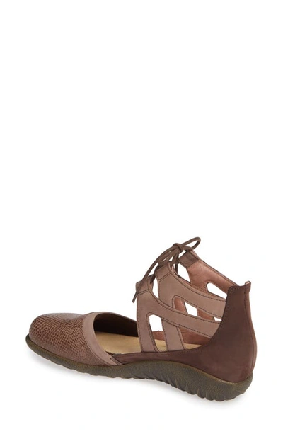 Shop Naot Kata Lace-up Sandal In Brown/ Shiitake Leather