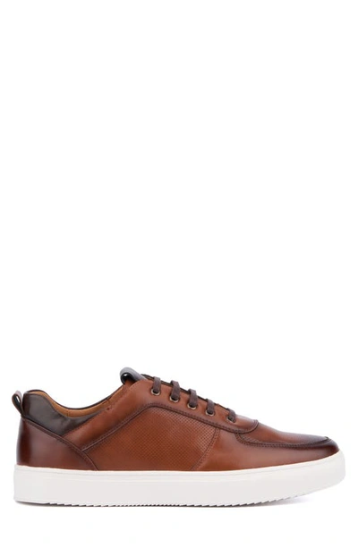 X-ray Andre Mens Faux Leather Casual And Fashion Sneakers In Cognac