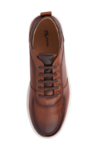 X-ray Andre Mens Faux Leather Casual And Fashion Sneakers In Cognac
