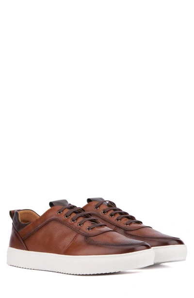 X-ray Andre Mens Faux Leather Casual And Fashion Sneakers In Cognac