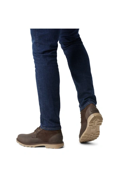 Sorel Carson Waterproof Chukka Boot In Blackened Brown/ Khaki