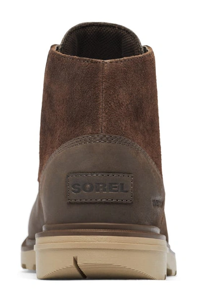 Sorel Carson Waterproof Chukka Boot In Blackened Brown/ Khaki